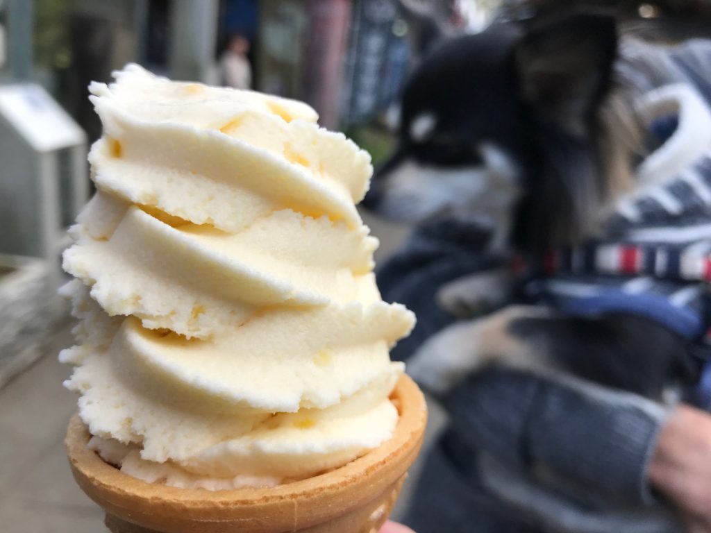 マロンソフトクリーム