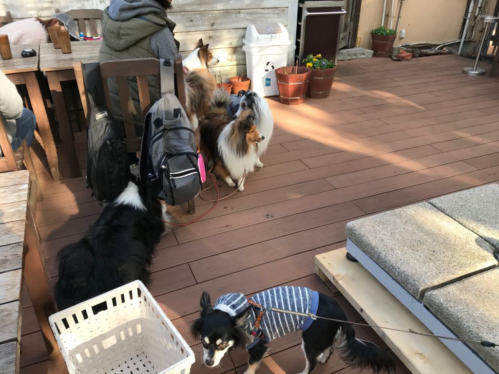 Cafe Madu(カフェ・マディ)