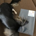 ダニ通過率0%の敷き布団カバー『アレルガード』購入しました！