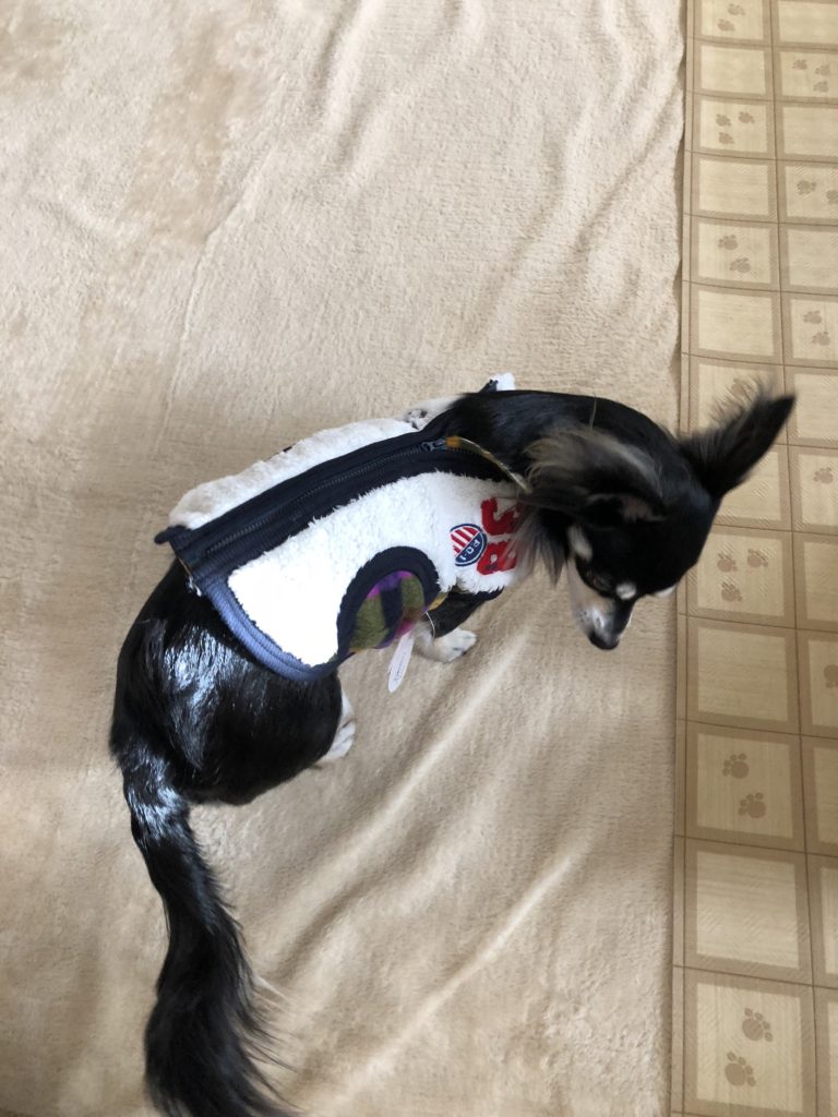 背中開き きつかった