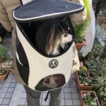 【購入レビュー】ワンコ用のリュック