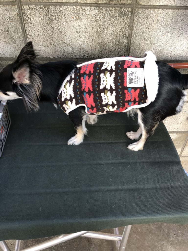 背中開き Lサイズ