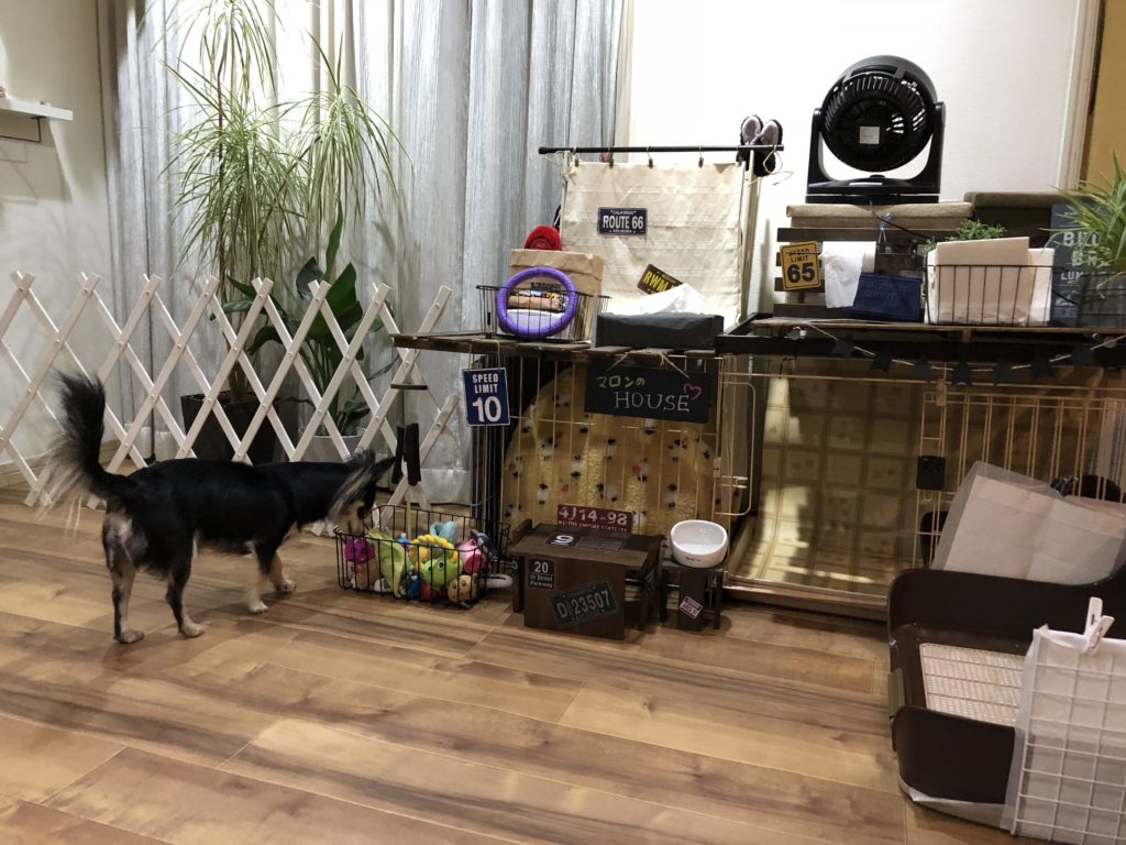 マロンのケージまわり