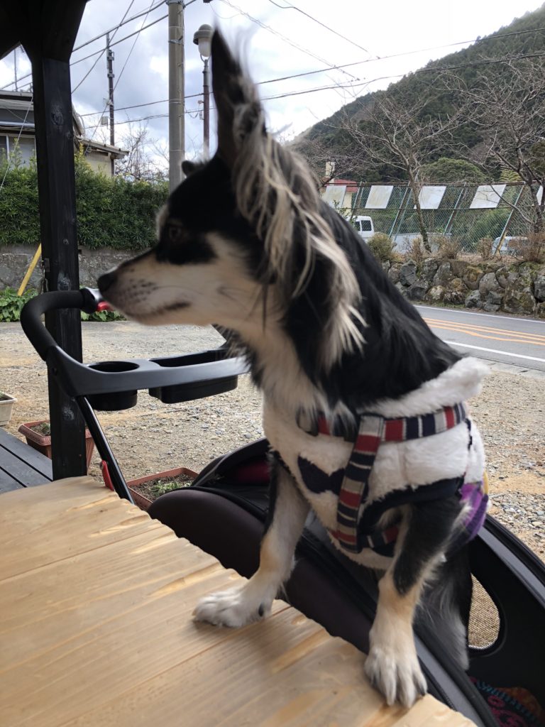 一休茶屋 テラス席