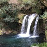 ワンコと南伊豆旅行① １日目 河津七滝と多々戸浜