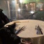 犬連れOKのMOTHER(マザーズ) 東大和店