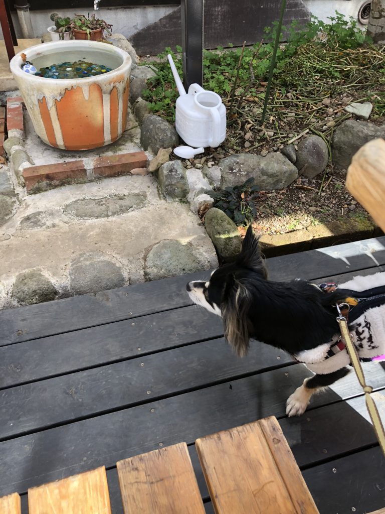 七滝のわさび丼屋
