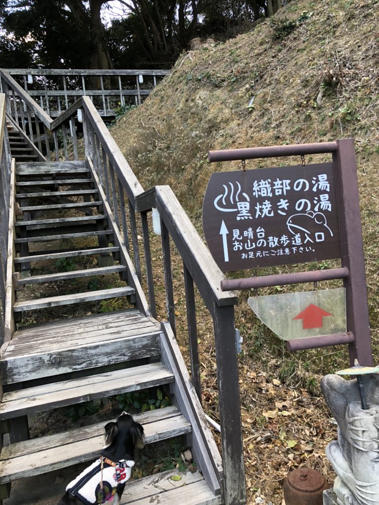 見晴台への階段