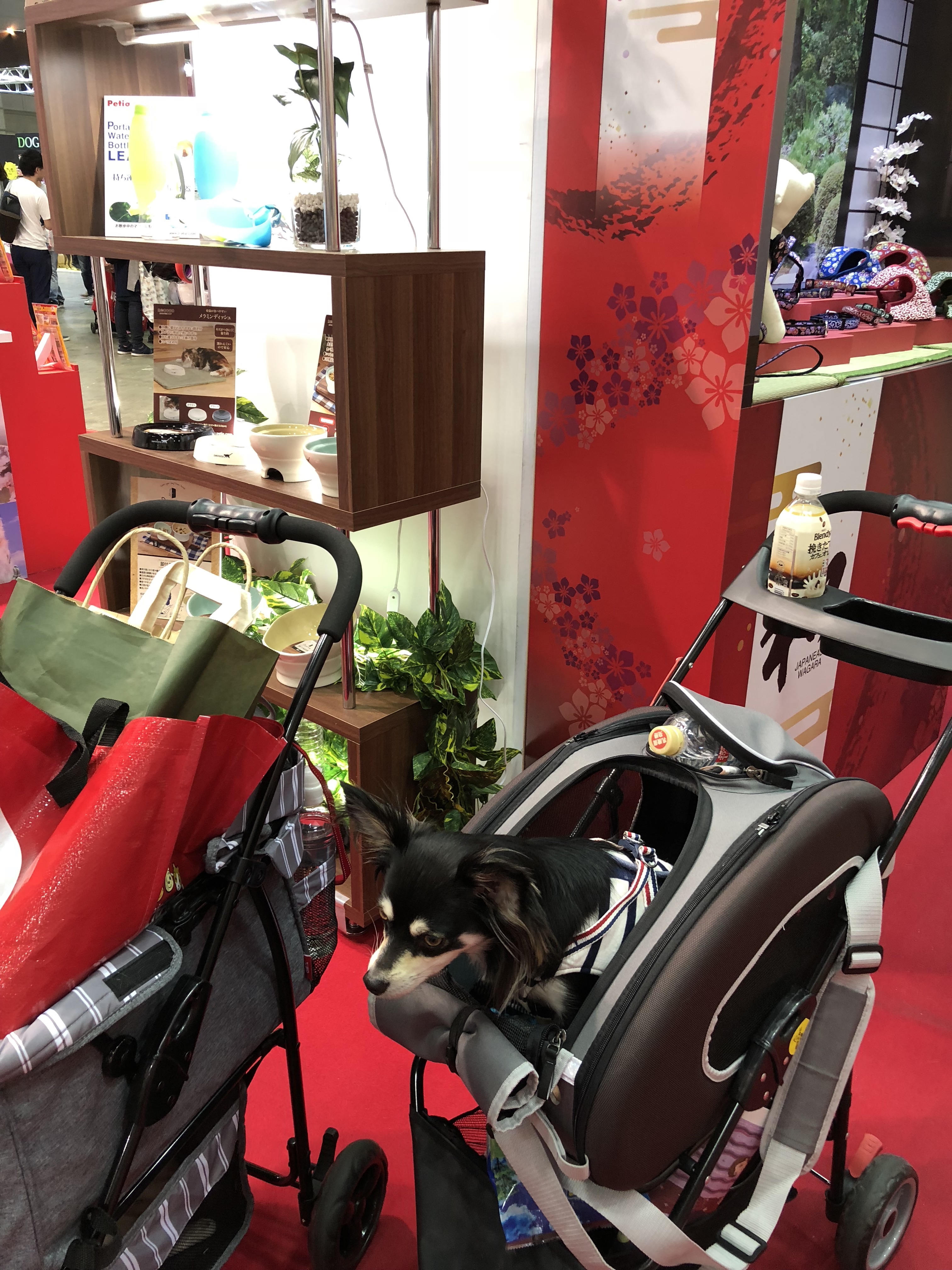 インターペット 犬の似顔絵待ち