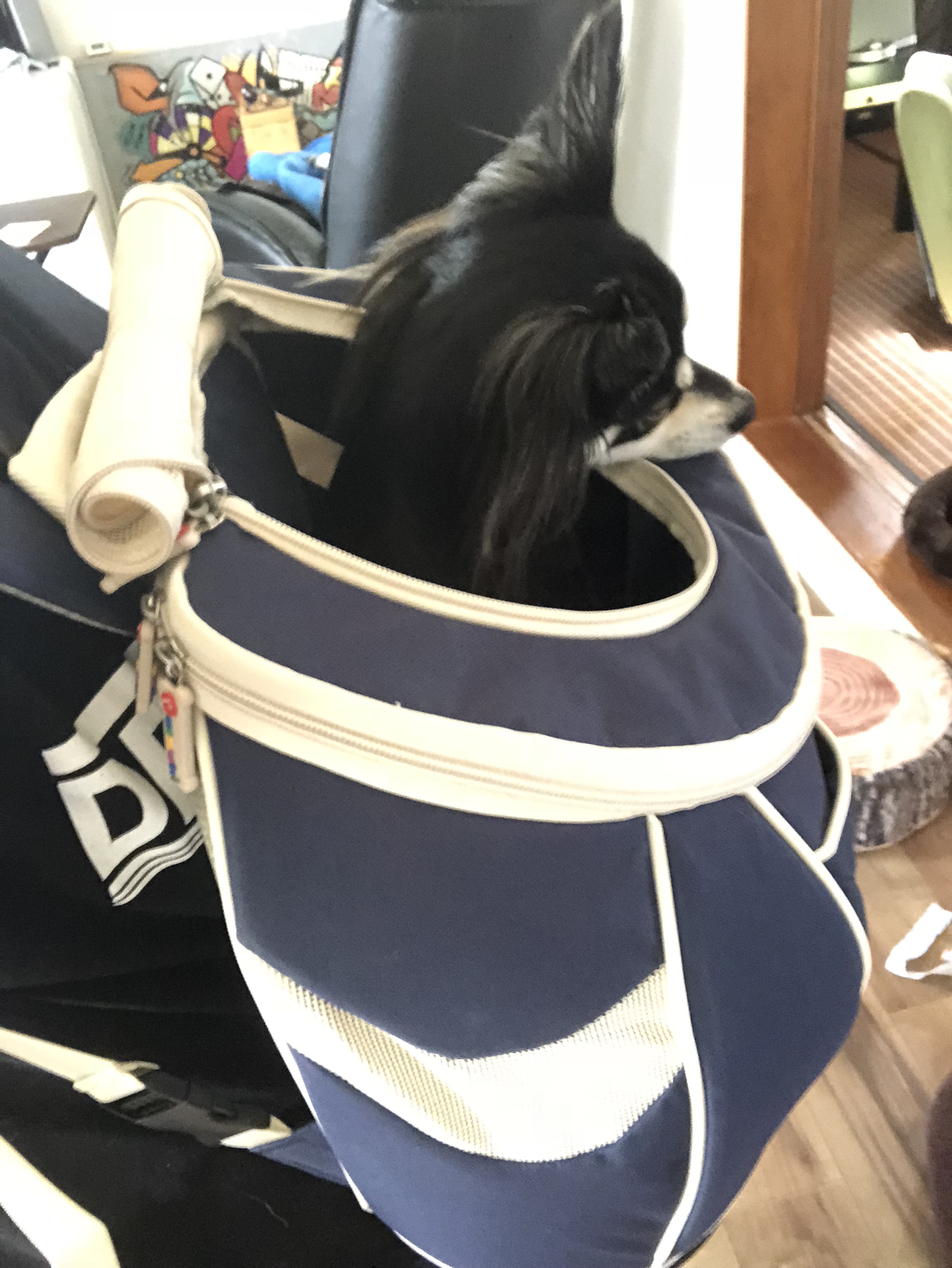 DAISUKI　キャリー