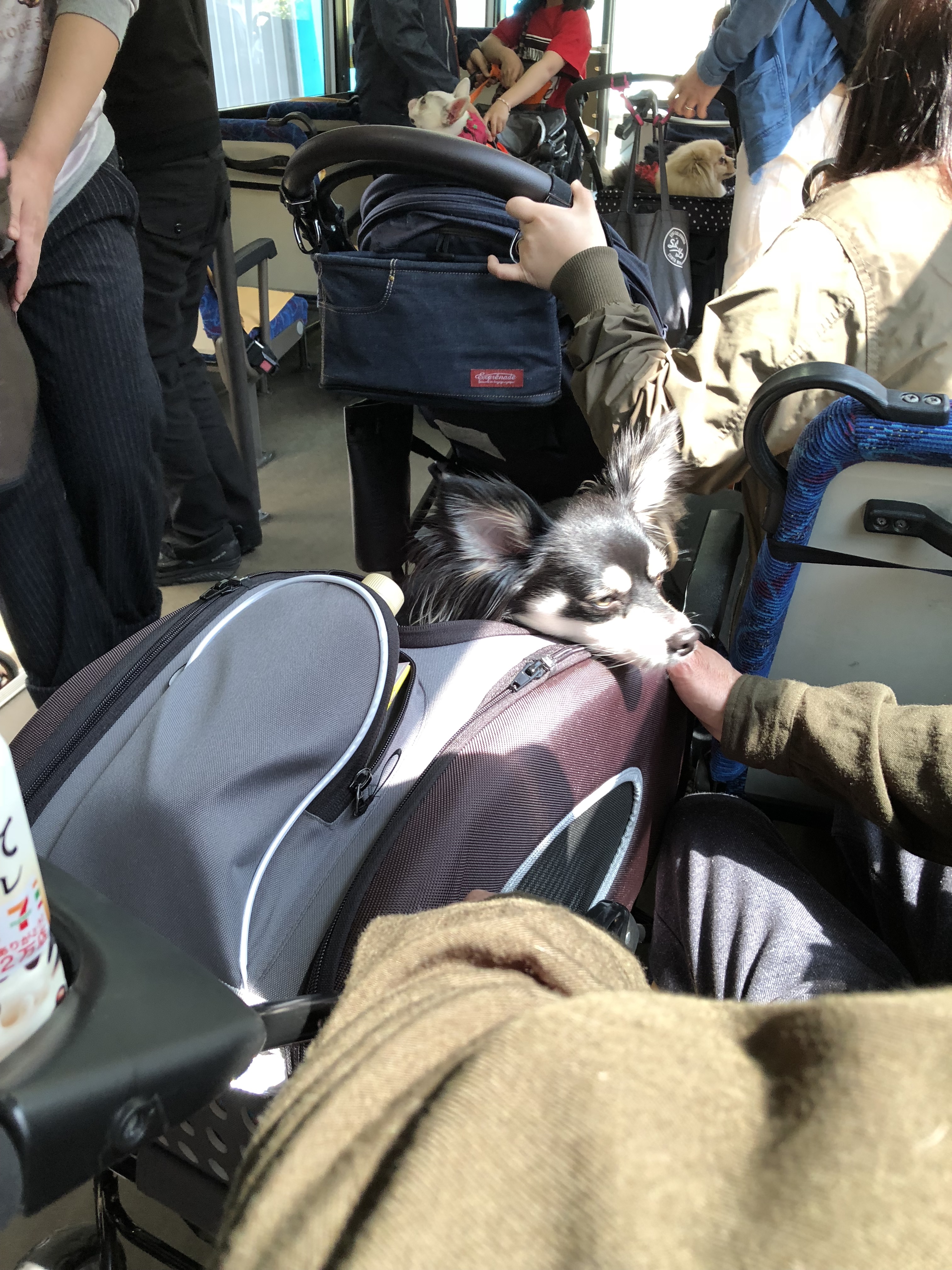 インターペット バス車内