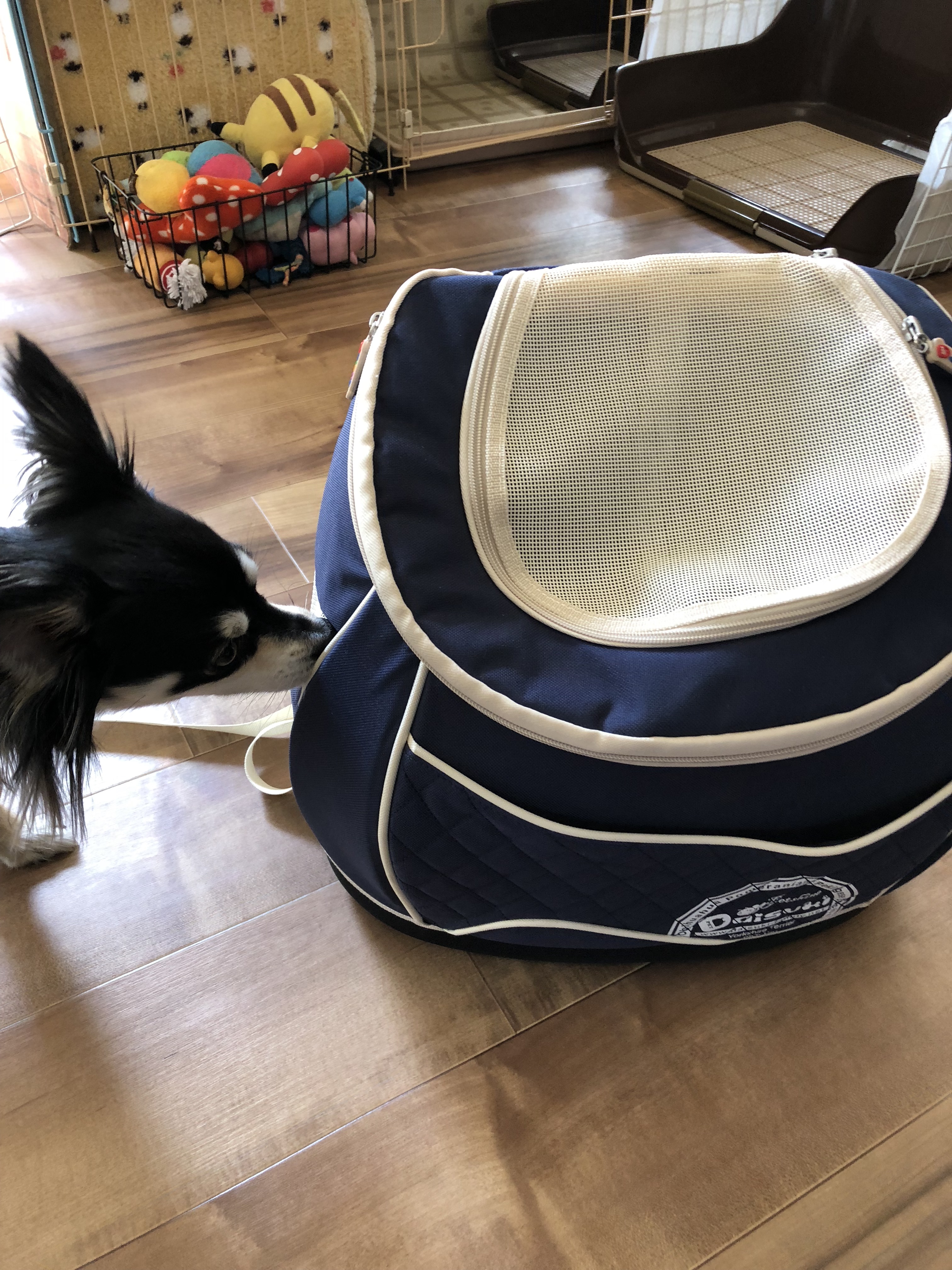 DAISUKIのリュック