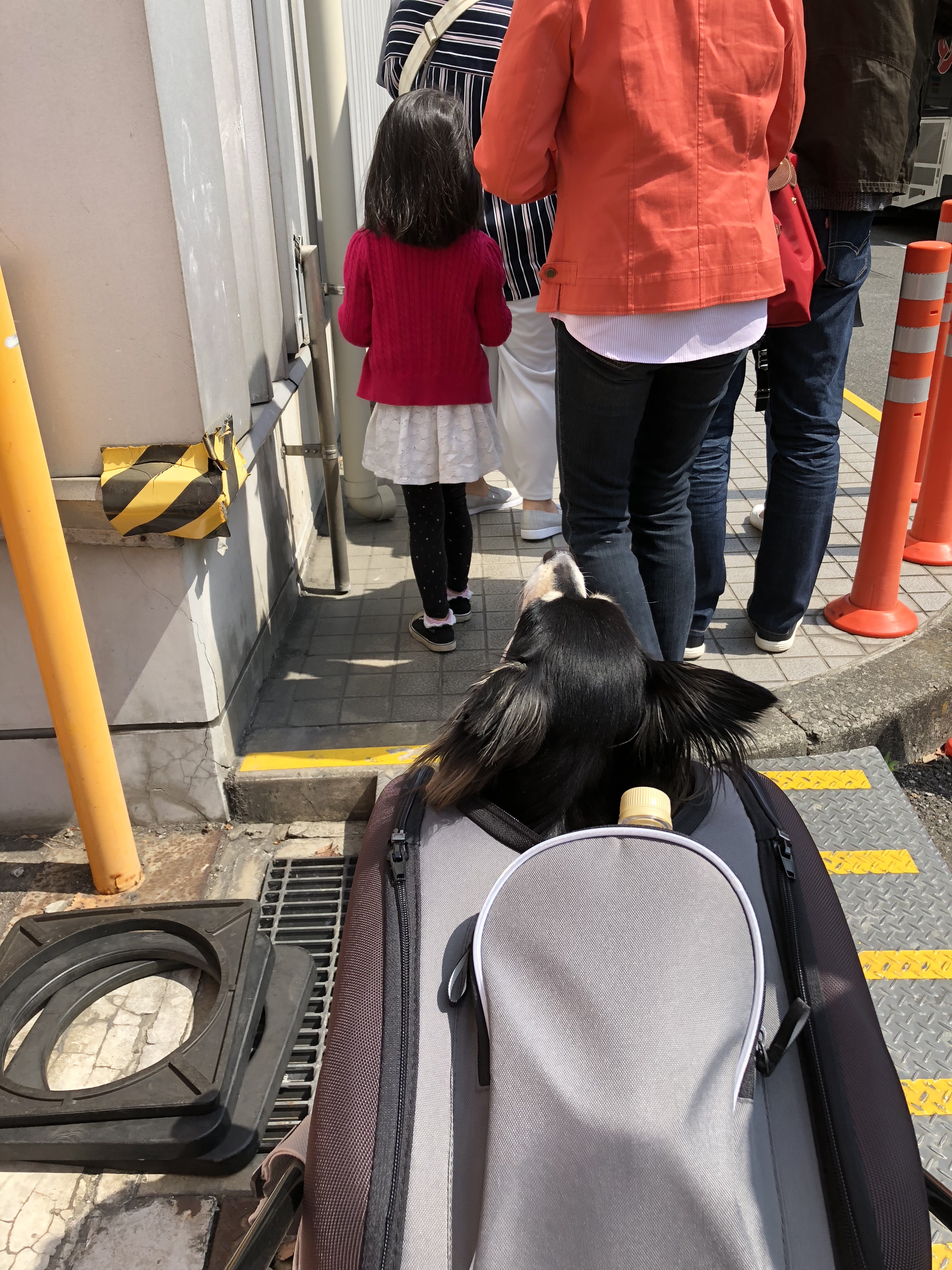 インターペット 無料バス