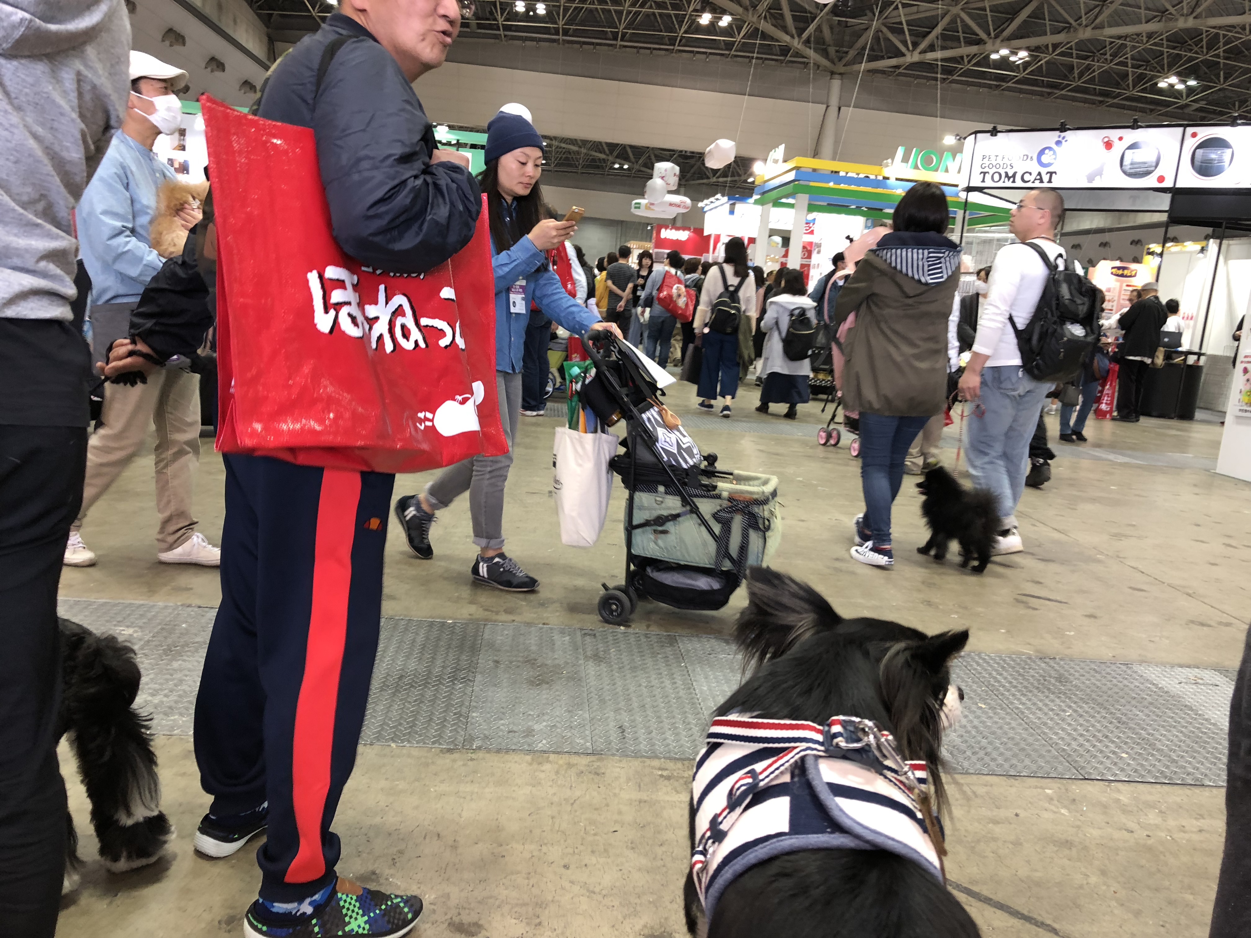 インターペット ビッグサイト