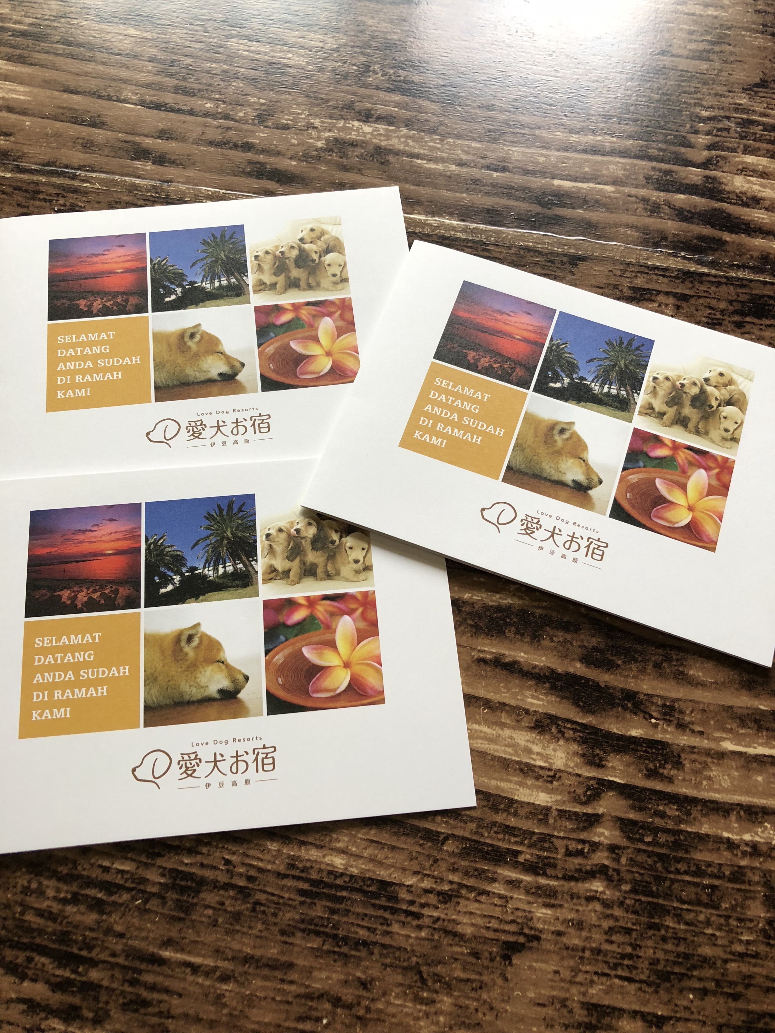 愛犬お宿 記念撮影