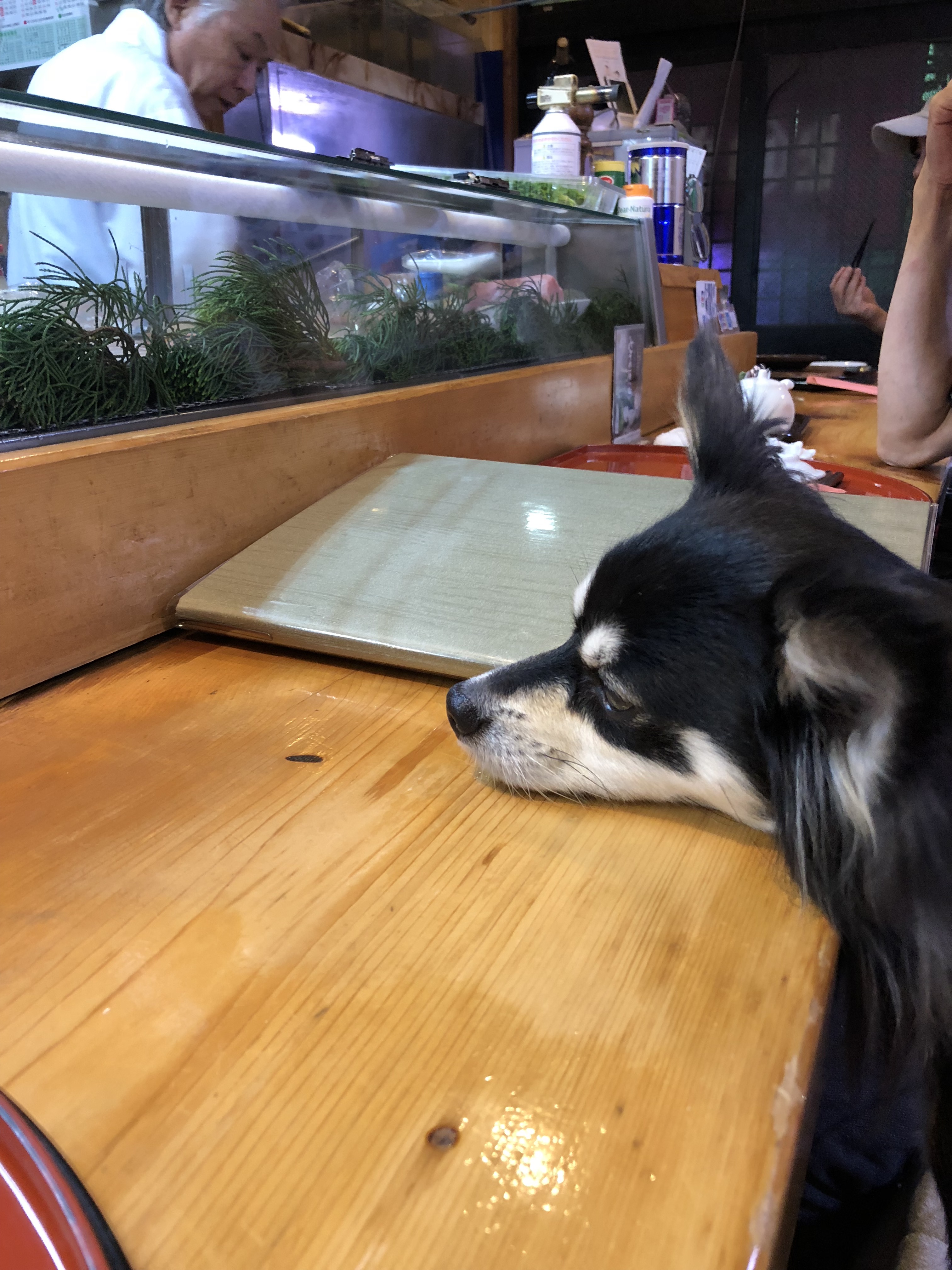 松栄寿司 カウンター