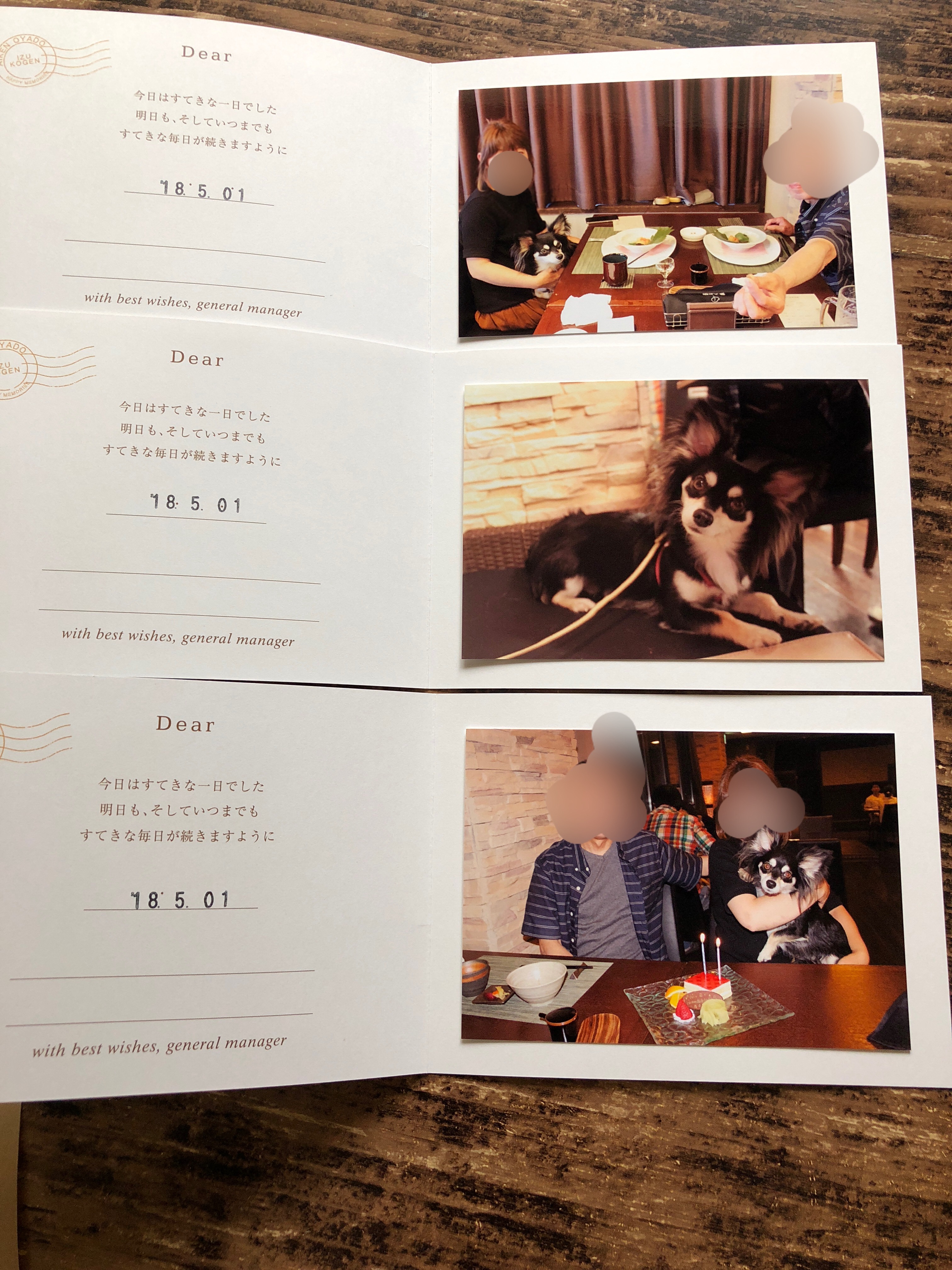 愛犬お宿 マロン記念撮影