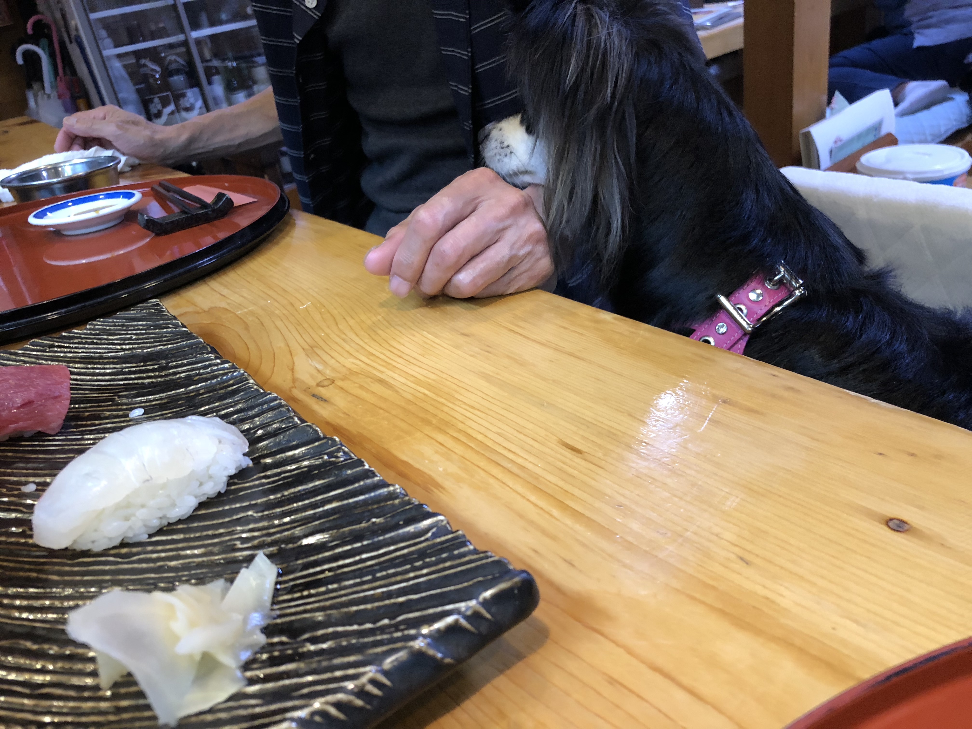 松栄寿司 カウンター