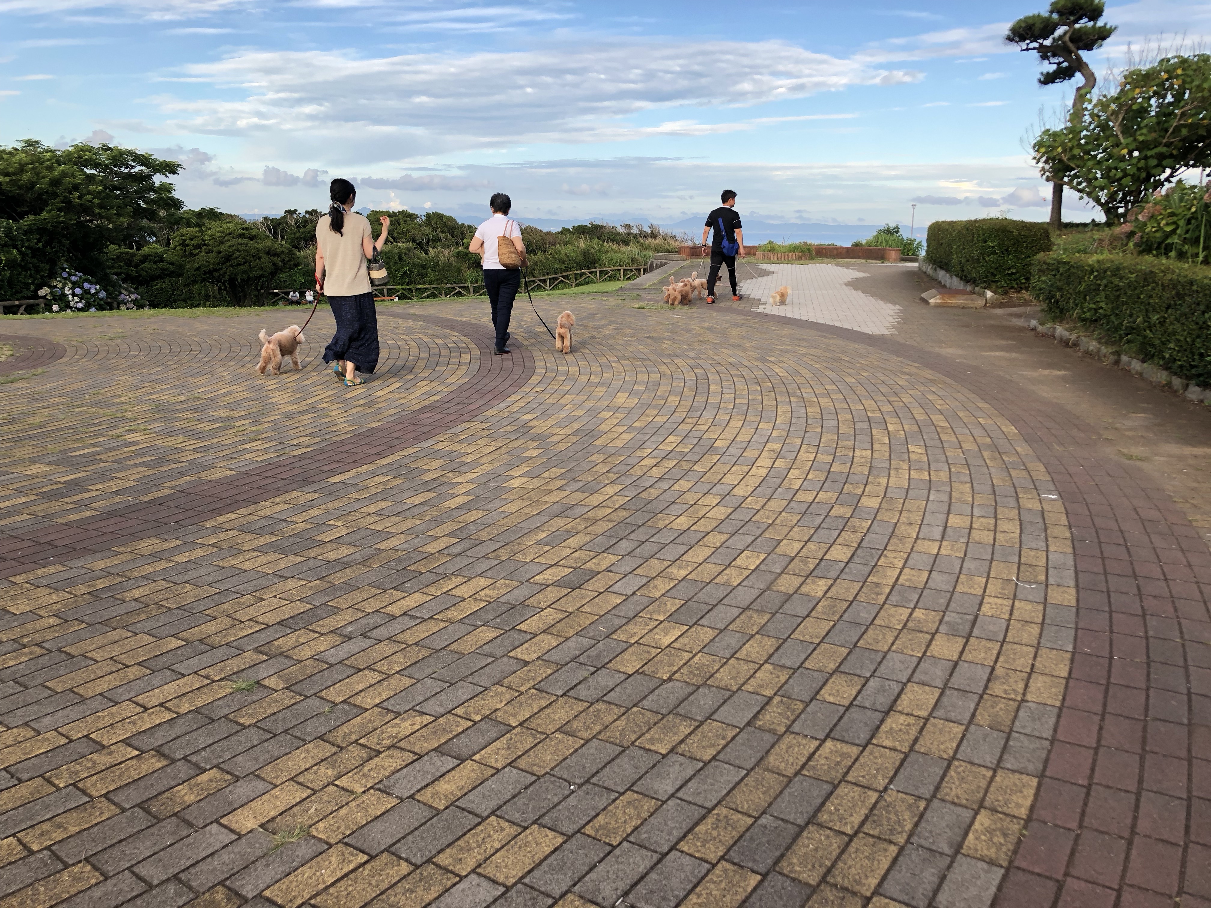 城ヶ島 ペットと遊ぶ