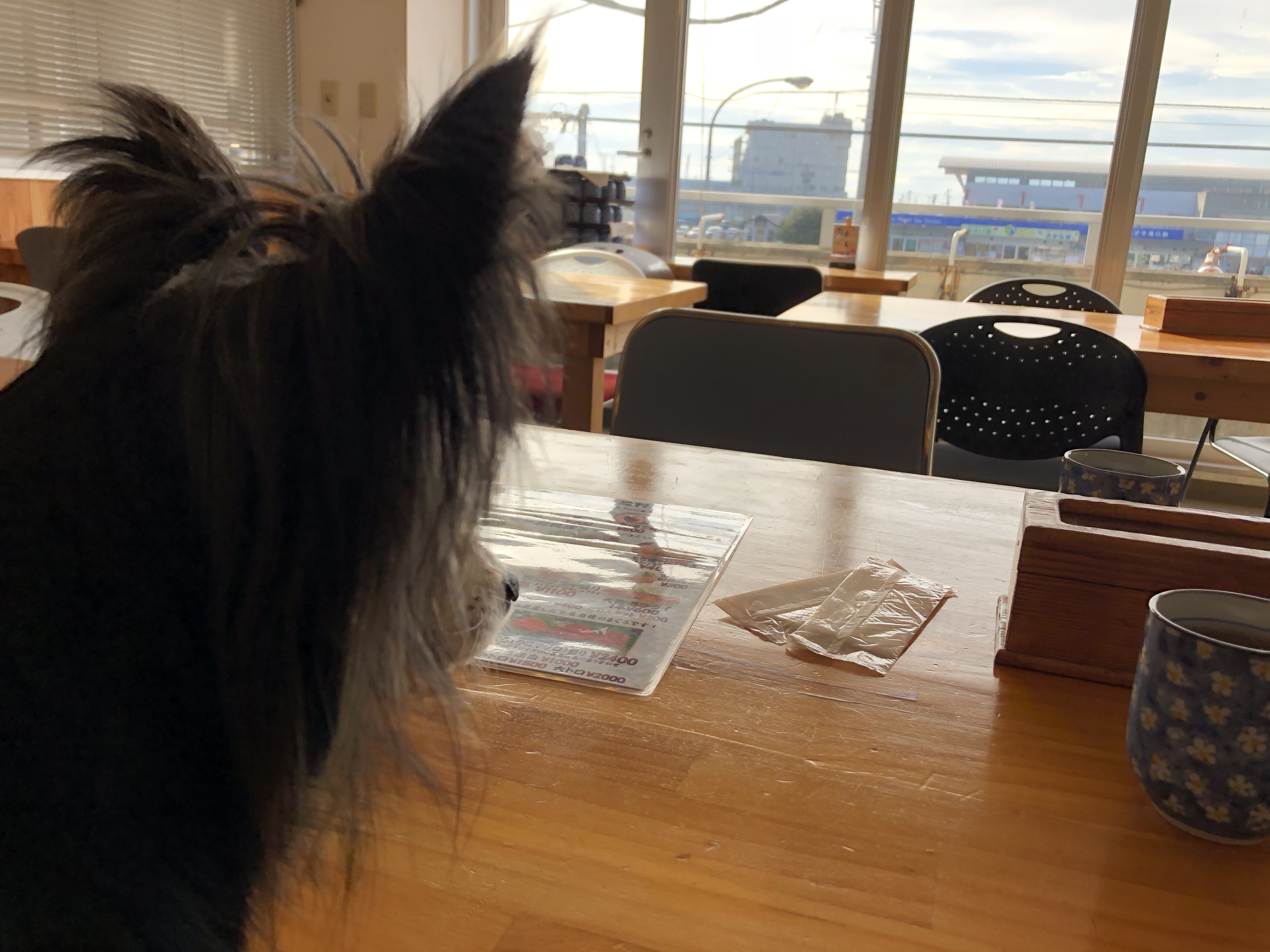 三崎港 海の幸 二階店内