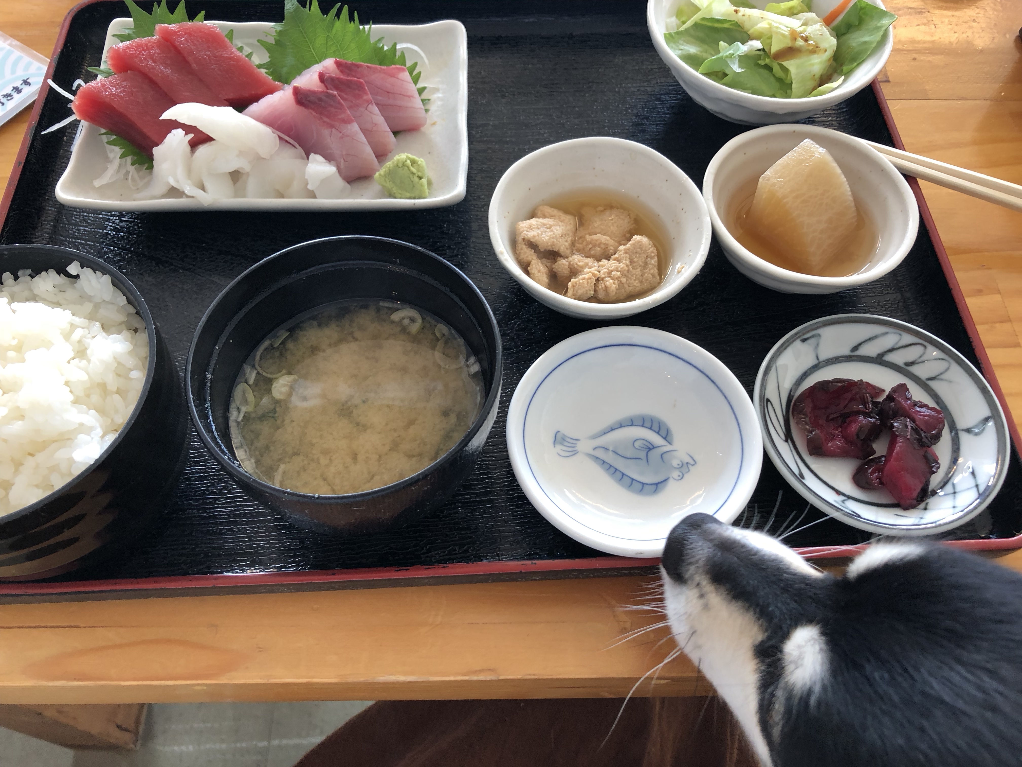 三崎港 海の幸 定食