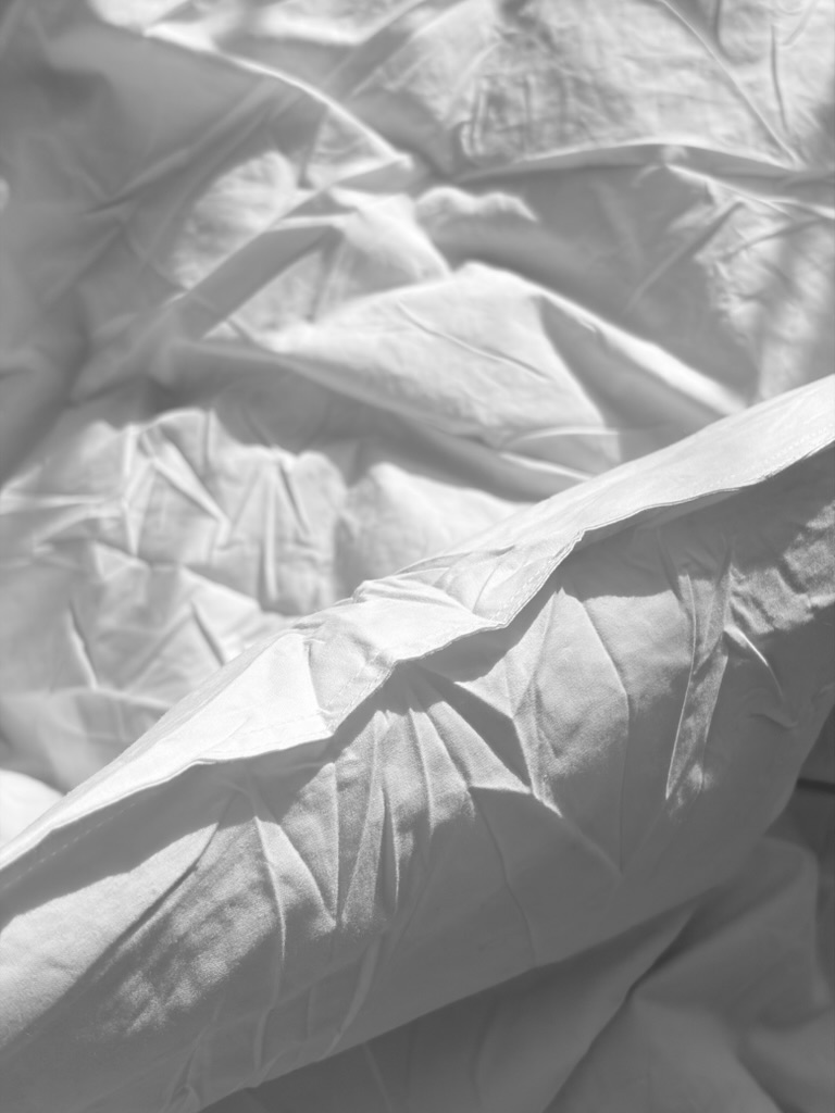 FJÄLLARNIKA フィエラルニカの厚さ